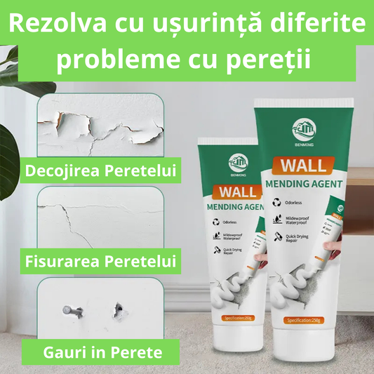 Kit de Reparare a Peretelui